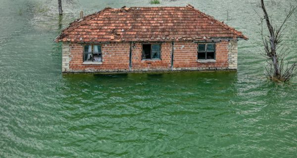 pexels-adem-albayrak-383796555-19028272