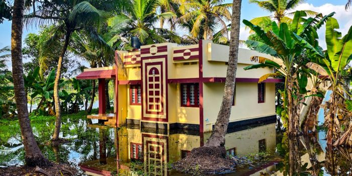 pexels-anoop1992-32442294